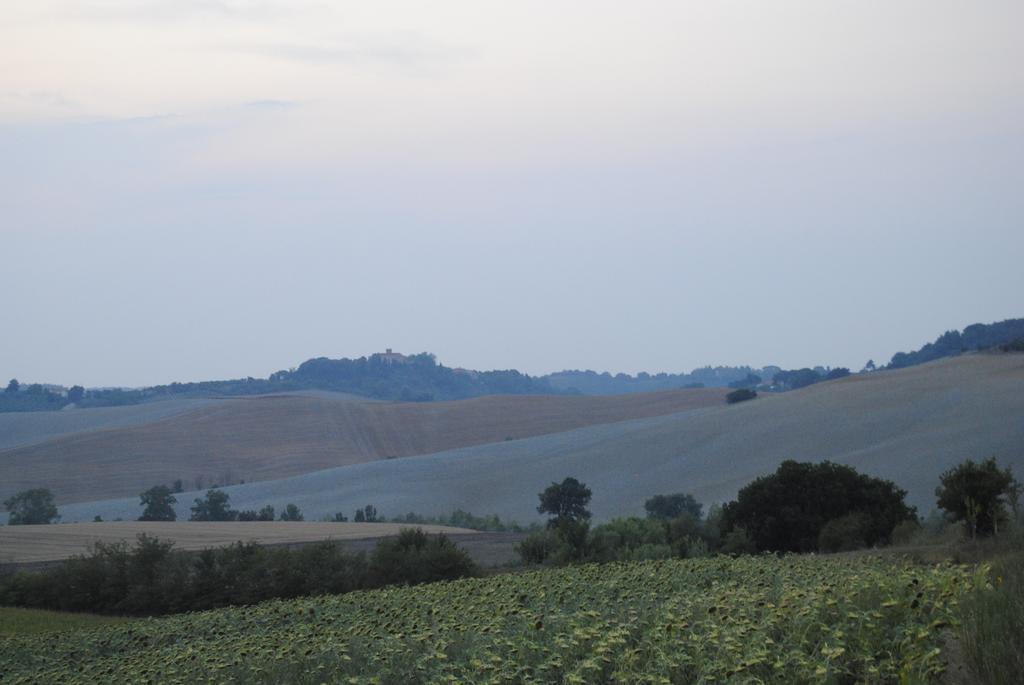 Tenuta La Casetta Casciana Terme Eksteriør bilde