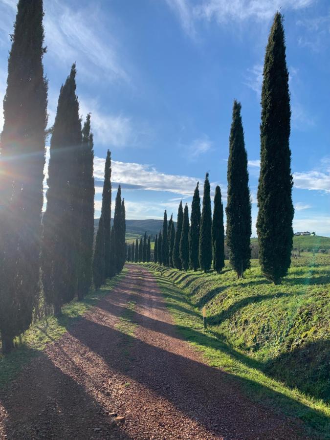 Tenuta La Casetta Casciana Terme Eksteriør bilde